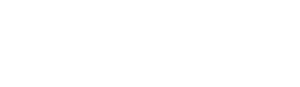 Logo Disguise